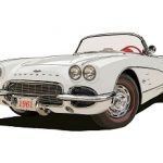 1961 corvette white