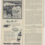 1953 black & white scotch 1