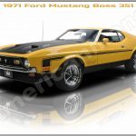 1971 Ford Mustang Boss 351 (2)