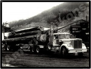 White Trucks Collectible Metal Sign: Vintage Log Hauler on the Job