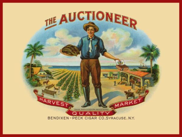 the auctioneer