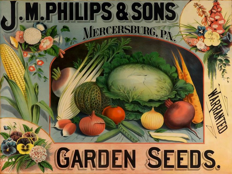 philips garden seeds