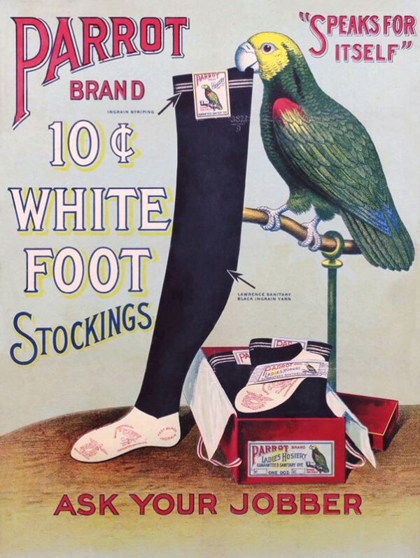 parrot stockings
